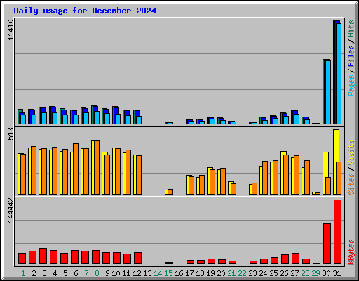 Daily usage for December 2024