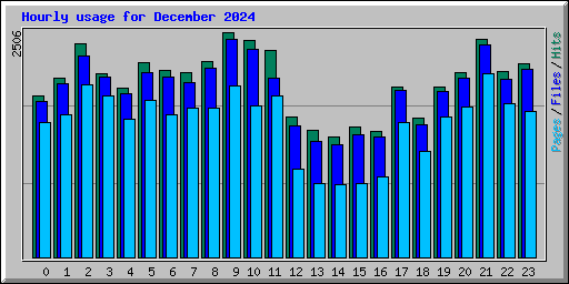 Hourly usage for December 2024